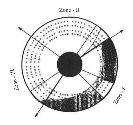 Fig 7 - Different segments according to the pulp lifter function.