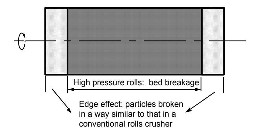 Figure 5: Schematic of the Edge Effect Zone