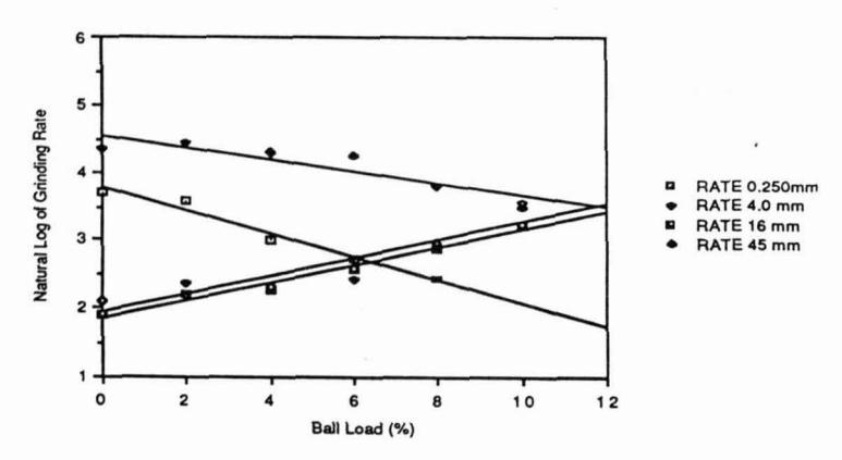 Figure 7 - Grinding Rates at Each Spline Knot for a Soft Ore