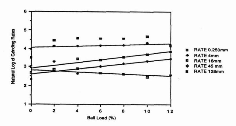 Figure 8 - Grinding Rates at Each Spline Knot for a Medium Ore