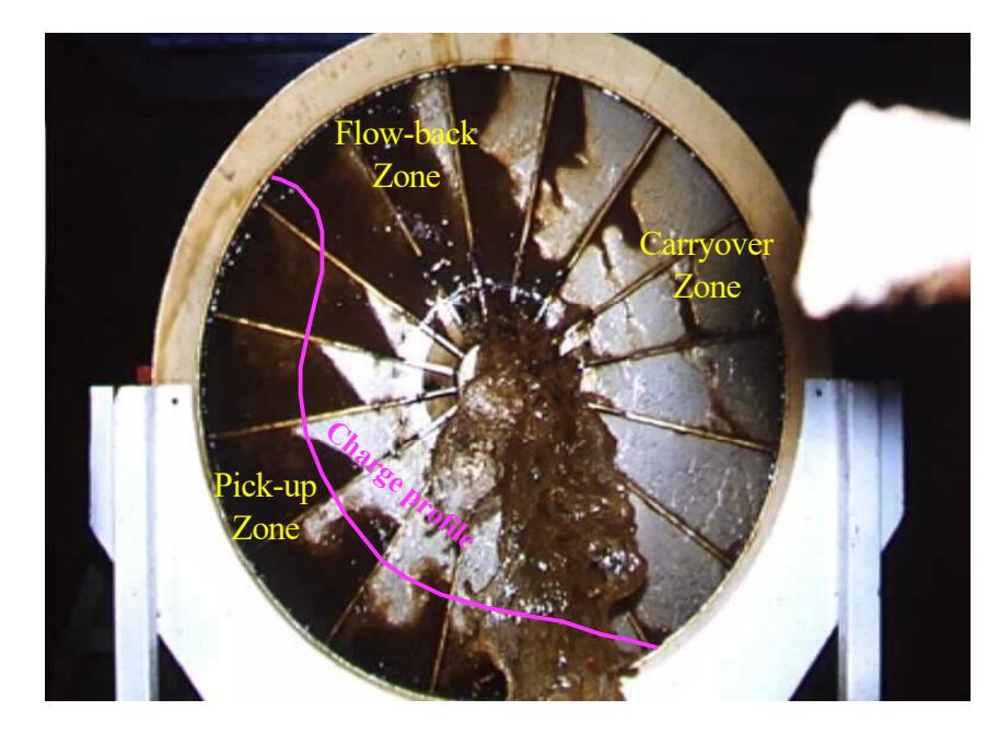 Figure 1: Slurry Discharging from Pulp Lifters