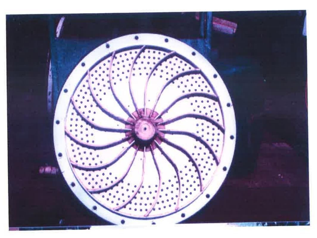 Figure 3 - Example of a Curved (also called spiral) Pulp Lifter